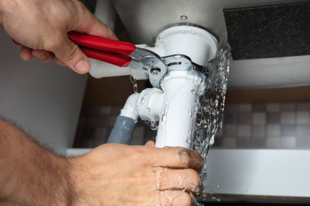 Best Professional water damage repair  in Kekaha, HI