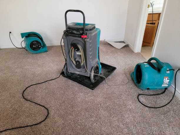 Best Fire Damage Restoration  in Kekaha, HI