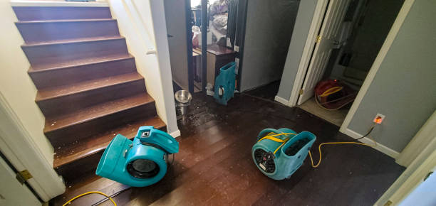 Best Fire Damage Restoration  in Kekaha, HI