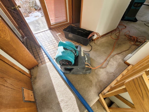 Best Water damage restoration near me  in Kekaha, HI
