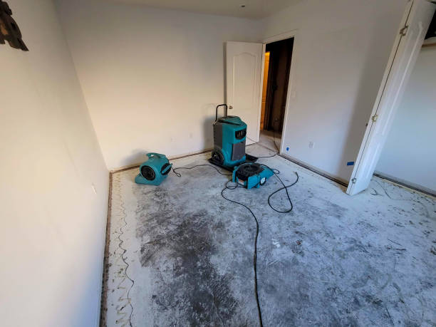 Best Water damage restoration process  in Kekaha, HI