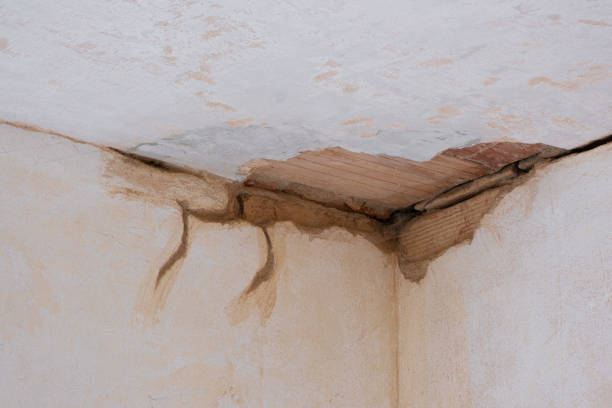Water damage restoration experts in Kekaha, HI