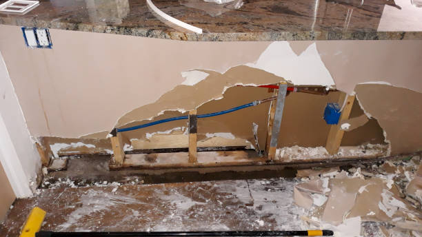 Best 24/7 water damage repair  in Kekaha, HI