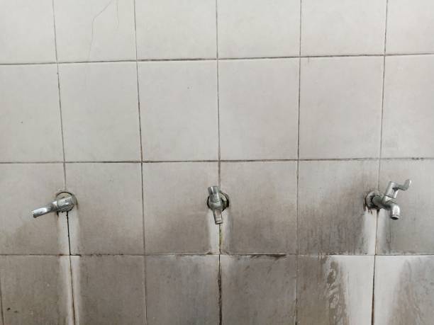 Best Ceiling water damage repair  in Kekaha, HI
