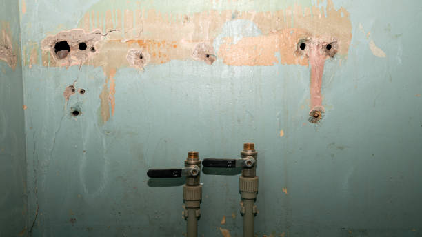 Best Mold removal after water damage  in Kekaha, HI