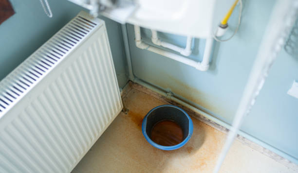 Best Flooded house restoration  in Kekaha, HI