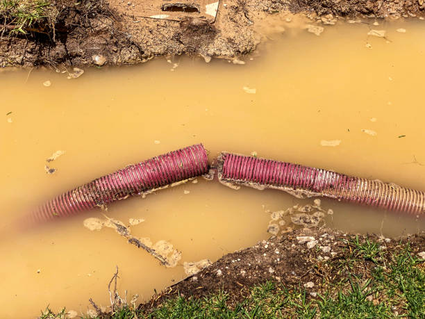 Best Water damage cleanup near me  in Kekaha, HI