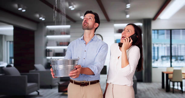 Best Carpet water damage restoration  in Kekaha, HI