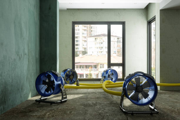 Best Commercial water damage restoration  in Kekaha, HI