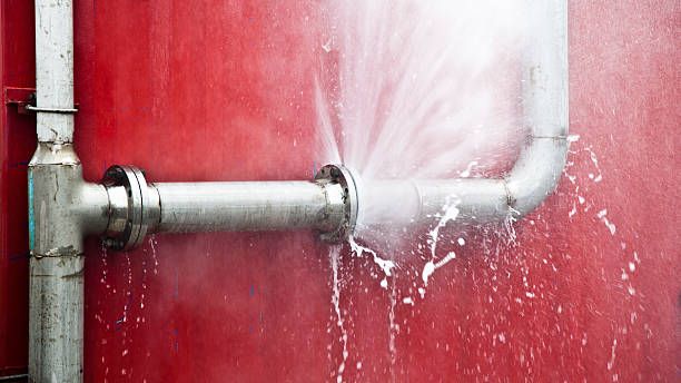 Best Carpet water damage restoration  in Kekaha, HI