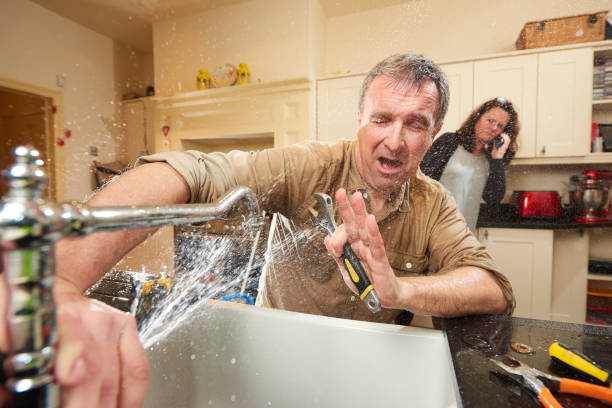 Best Water damage restoration experts  in Kekaha, HI